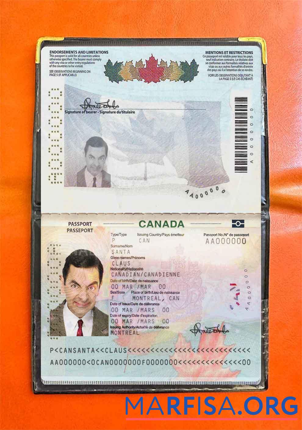 Downloadable Canada passport (2010 present) photo look example